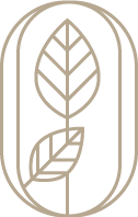 Yokas